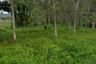 Land for sale in Thep Krasatti, Phuket