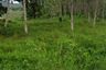 Land for sale in Thep Krasatti, Phuket