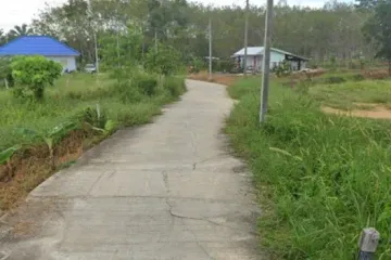 Land for sale in Thep Krasatti, Phuket