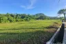 Land for sale in Si Sunthon, Phuket