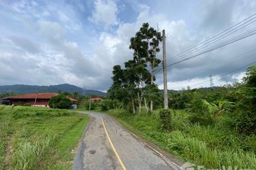 Land for sale in Thep Krasatti, Phuket