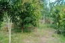 Land for sale in Phichai, Lampang