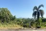 Land for sale in Pa Khlok, Phuket
