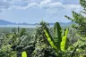 Land for sale in Yamu Hills, Pa Khlok, Phuket