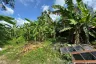 Land for sale in Choeng Thale, Phuket