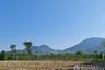 Land for sale in Bang But, Rayong