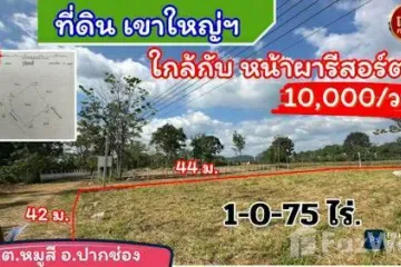 Land for sale in Mu Si, Nakhon Ratchasima