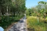 Land for sale in Pa Khlok, Phuket