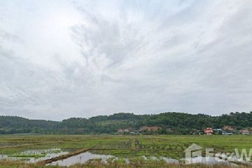Land for sale in Chiang Dao, Chiang Mai