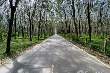 Land for sale in Thalang, Phuket