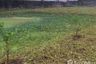 Land for sale in Bang Kaeo, Samut Prakan