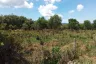Land for sale in Thep Krasatti, Phuket