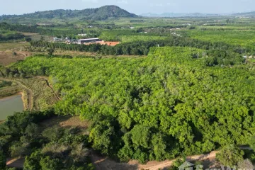 Land for sale in Thep Krasatti, Phuket