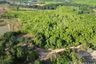 Land for sale in Thep Krasatti, Phuket