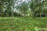 Land for sale in Thep Krasatti, Phuket
