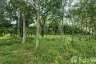 Land for sale in Thep Krasatti, Phuket