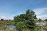 Land for sale in Ban Khlong Suan, Samut Prakan
