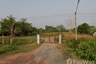 Land for sale in Sema, Nakhon Ratchasima