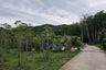Land for sale in Pa Khlok, Phuket