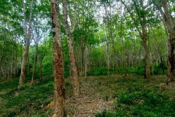Land for sale in Pa Khlok, Phuket