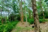 Land for sale in Pa Khlok, Phuket