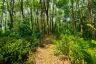 Land for sale in Pa Khlok, Phuket