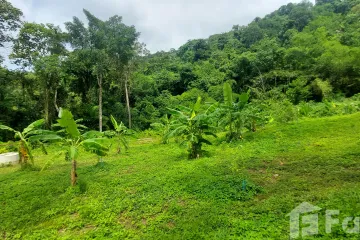 Land for sale in Chalong, Phuket