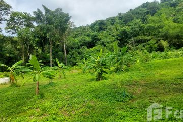Land for sale in Chalong, Phuket