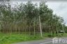 Land for sale in Pa Khlok, Phuket