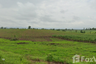 Land for sale in Mae Pa, Tak