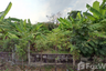 Land for sale in Bang Mueang Mai, Samut Prakan near BTS Naval Academy
