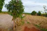 Land for sale in Sam Kha, Kalasin
