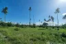 Land for sale in Thung Sai, Nakhon Si Thammarat