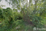 Land for sale in Chorakhe Bua, Bangkok
