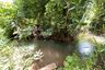 Land for sale in Hin Dat, Kanchanaburi