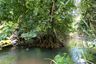 Land for sale in Hin Dat, Kanchanaburi
