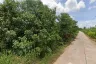 Land for sale in Khlong Chanak, Surat Thani