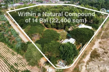 Land for sale in Phe, Rayong