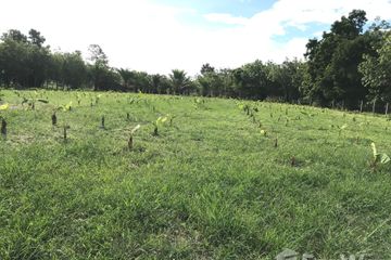 Land for sale in Dom Pradit, Ubon Ratchathani
