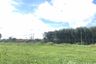 Land for sale in Ban Song, Surat Thani