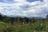 Land for sale in Pha Sing, Nan