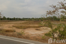 Land for sale in Yang Talat, Kalasin