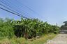Land for sale in Tha Raeng, Bangkok