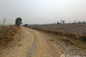 Land for sale in Huai Sak, Chiang Rai