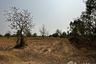 Land for sale in Nong Tat, Buriram