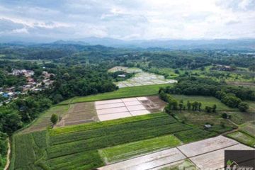 Land for sale in Mae Chan, Chiang Rai
