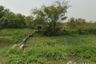 Land for sale in Hom Sin, Chachoengsao