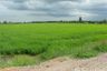 Land for sale in Bang Pla, Nakhon Pathom