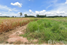 Land for sale in Bueng Phra, Phitsanulok