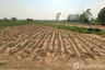 Land for sale in Nong No, Khon Kaen